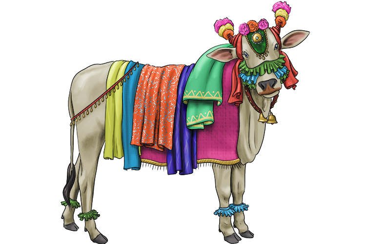 To Hindus, the cow is a symbol of goodness, motherhood and a life of non-violent generosity.